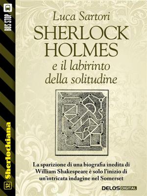 Cover of the book Sherlock Holmes e il labirinto della solitudine by Diego Lama