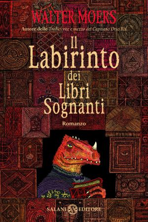 Cover of the book Il labirinto dei libri sognanti by Matteo Corradini, Grazia Nidasio