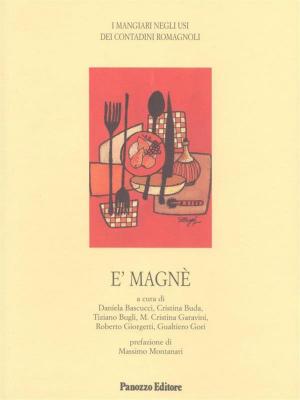 Book cover of E' magnè