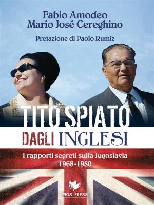 Cover of the book Tito spiato dagli inglesi by JOAN DRUETT