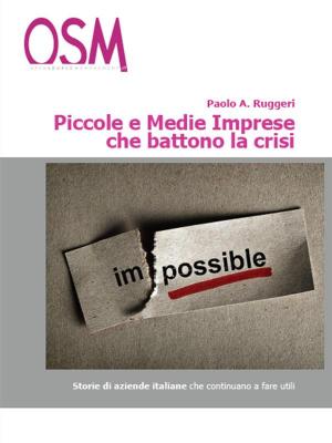 Cover of the book Piccole e medie imprese che battono la crisi by Paolo A. Ruggeri