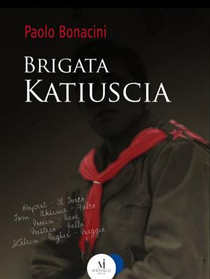Book cover of Brigata Katiuscia