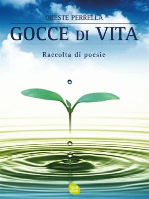 Cover of the book Gocce di Vita by 李昌憲（Lee Chang-hsien）