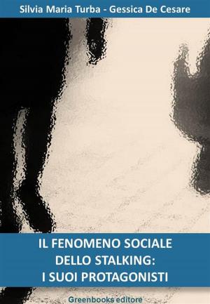 Book cover of Il fenomeno sociale dello stalking: i suoi protagonisti