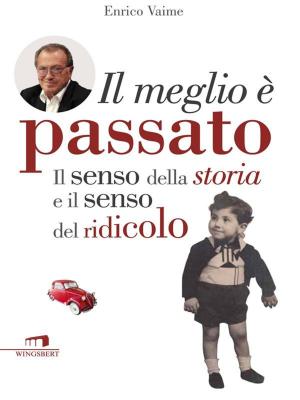 Cover of the book Enrico Vaime by Federica Costantino Fabio Spelta