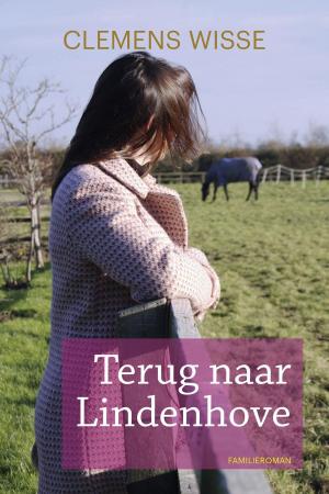 Cover of the book Terug naar de Lindenhove by Jaap Hiddinga