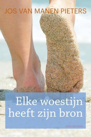 Cover of the book Elke woestijn heeft zijn bron by Mirjam van der Vegt