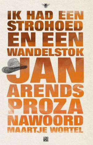 Cover of the book Ik had een strohoed en een wandelstok by Maarten Meijer