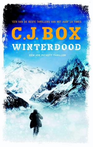 Cover of the book Winterdood by Anita Elberse