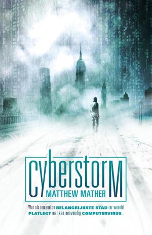 Cover of the book Cyberstorm by Michelle Miller