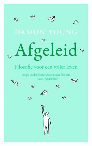 Cover of the book Afgeleid by Robert Maurer