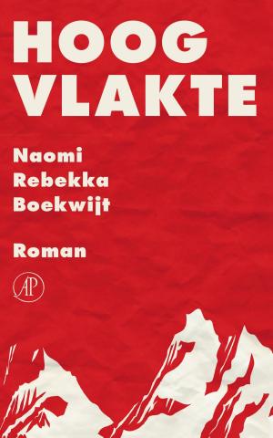 Cover of the book Hoogvlakte by Lucas Zandberg