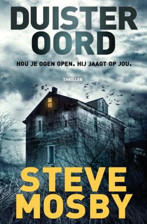 Cover of the book Duister oord by Jens Lapidus