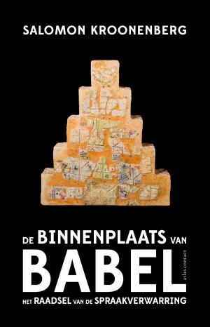 Cover of the book De binnenplaats van Babel by Carolijn Visser