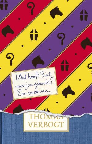 Cover of the book Wat heeft Sint voor jou gekocht? by Jan Terlouw, Sanne Terlouw