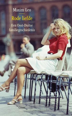 Cover of the book Rode liefde by Jan van Mersbergen