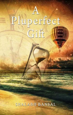 bigCover of the book A Pluperfect Gift by 