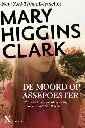 Book cover of De moord op Assepoester