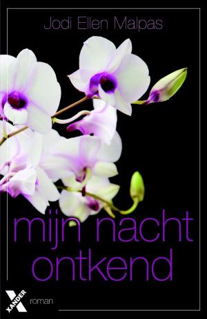 Cover of the book Mijn nacht ontkend by Steinar Bragi