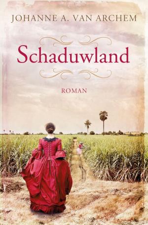 Cover of the book Schaduwland by J.W. Ooms