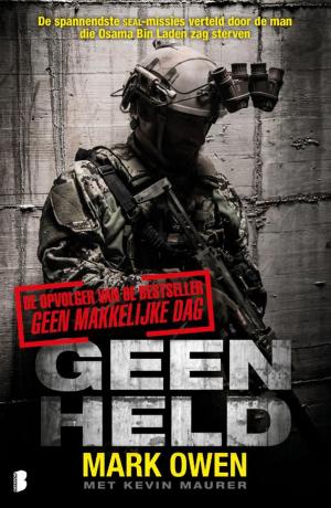 Book cover of Geen held