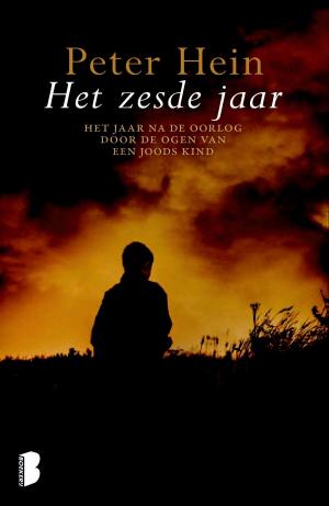 Cover of the book Het zesde jaar by Roald Dahl
