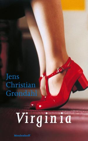 Cover of the book Virginia by Jens Christian Grøndahl