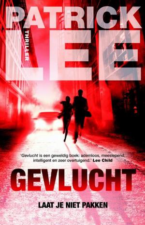 Cover of the book Gevlucht by Hubert Lampo