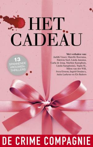 Cover of the book Het cadeau- alle verhalen by Tupla M.