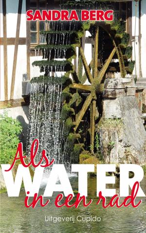 Cover of the book Als water in een rad by Roos Verlinden