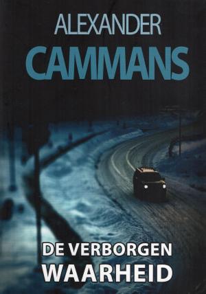 Cover of the book De verborgen waarheid by Derek Davis