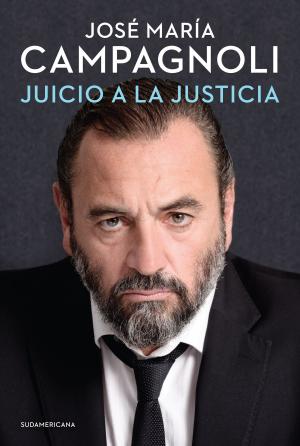 Cover of the book Juicio a la justicia by Daniel Balmaceda