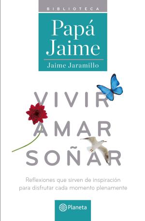 Cover of the book Vivir amar soñar by Moruena Estríngana