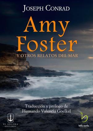Cover of the book Amy Foster by Ros Nazilli