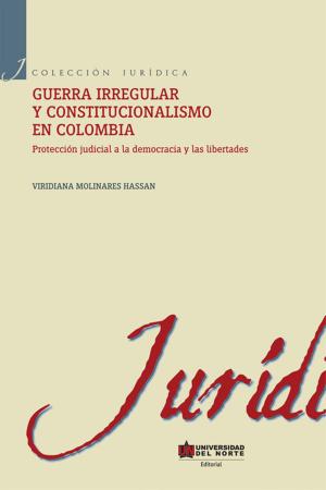 Cover of the book Guerra irregular y constitucionalismo en Colombia by Luis Ricardo Navarro Díaz