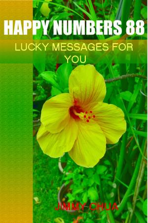Book cover of Happy Numbers 88 - Lucky Messages for You