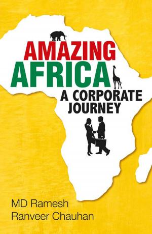 Cover of the book Amazing Africa by Meira Chand