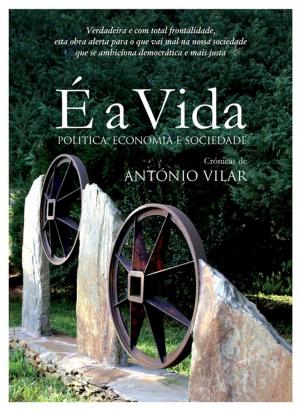 Cover of the book É a vida by Laurie Polich