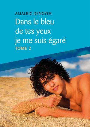 Book cover of Dans le bleu de tes yeux je me suis égaré, Tome 2