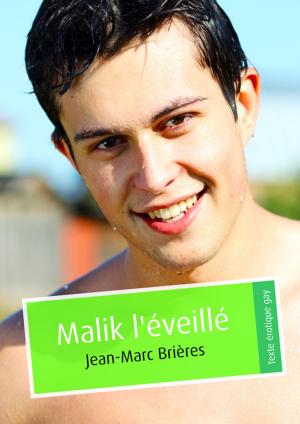 Cover of the book Malik l'éveillé by Andrej Koymasky