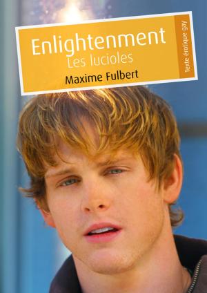 Cover of the book Enlightenment by AbiGaël
