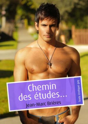 Cover of the book Chemin des études… by Jacques Delaville