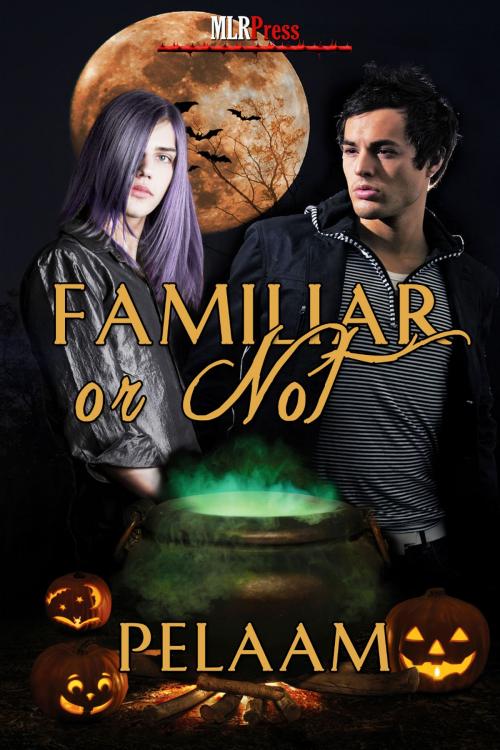 Cover of the book Familiar or Not by Pelaam, MLR Press
