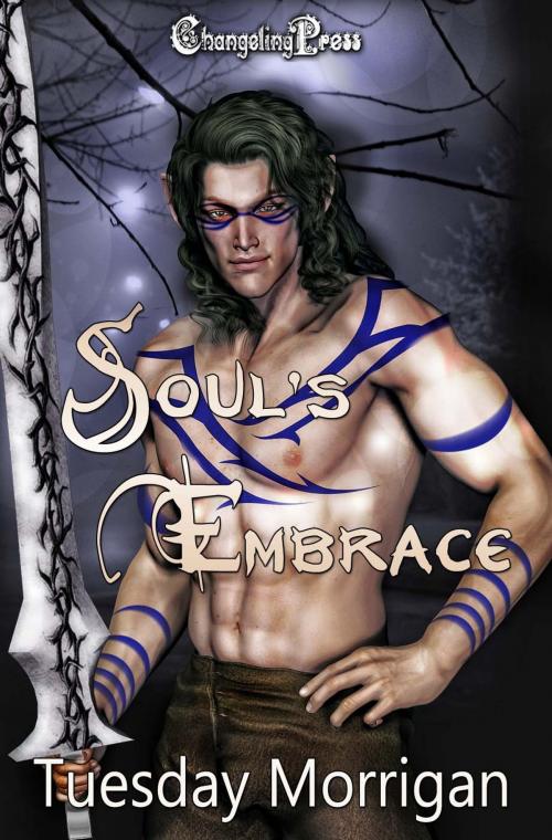 Cover of the book Soul's Embrace by Tuesday Morrigan, Changeling Press LLC