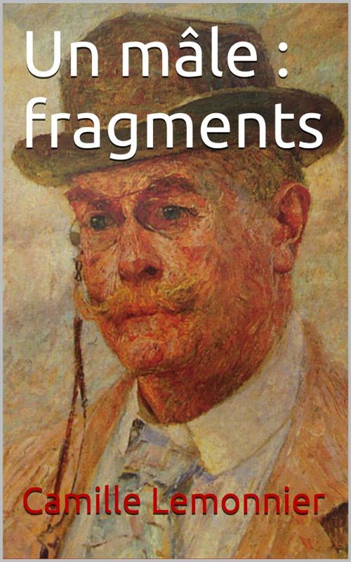 Cover of the book Un mâle : fragments by Camille Lemonnier, PRB