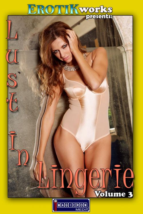 Cover of the book Lust in Lingerie Vol. 3 by Mithras Imagicron, Imagicron Media
