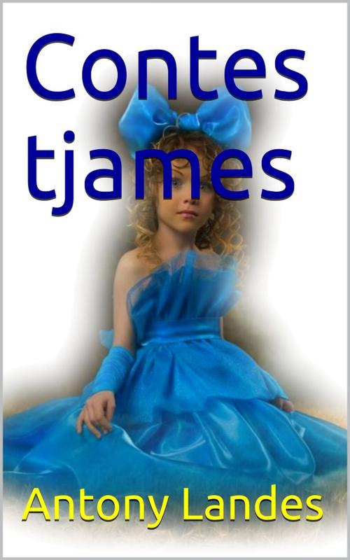 Cover of the book Contes tjames by Antony Landes, PRB