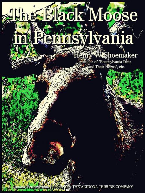 Cover of the book The Black Moose in Pennsylvania by Henry W. Shoemaker, THE ALTOONA TRIBUNE COMPANY