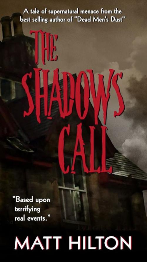 Cover of the book The Shadows Call by Matt Hilton, Sempre Vigile Press