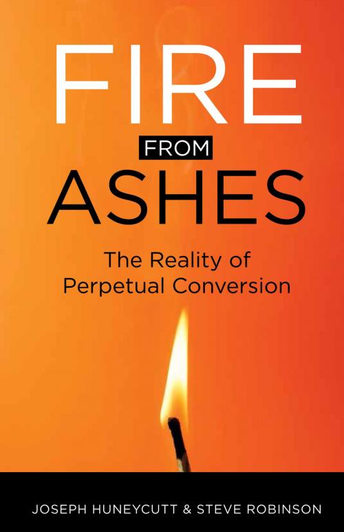 Cover of the book Fire from Ashes by Joseph Huneycutt, Steve Robinson, Ancient Faith Publishing